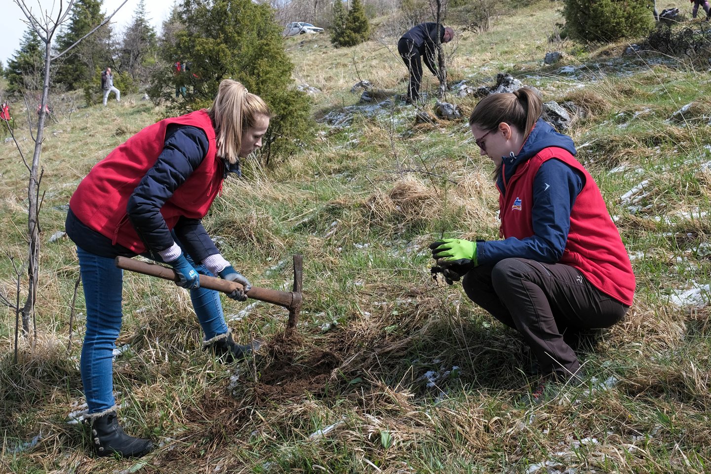 Društveno korisni rad dm zaposlenika